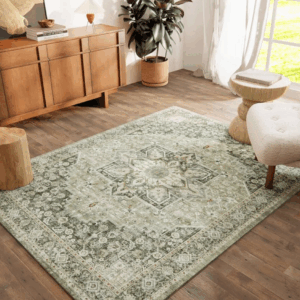 Best rug cleaning service