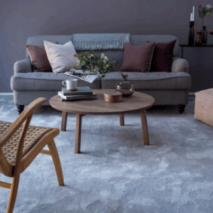 Modern home with clean carpet