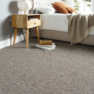 Modern home with clean carpet